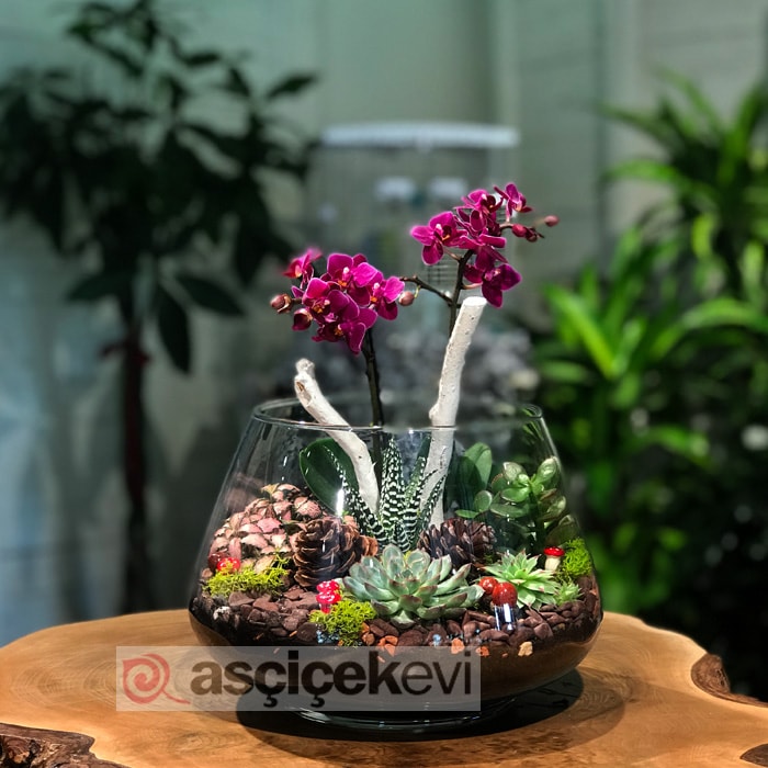 blog resmi