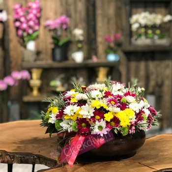 Çiçek Fiyatları Papatya