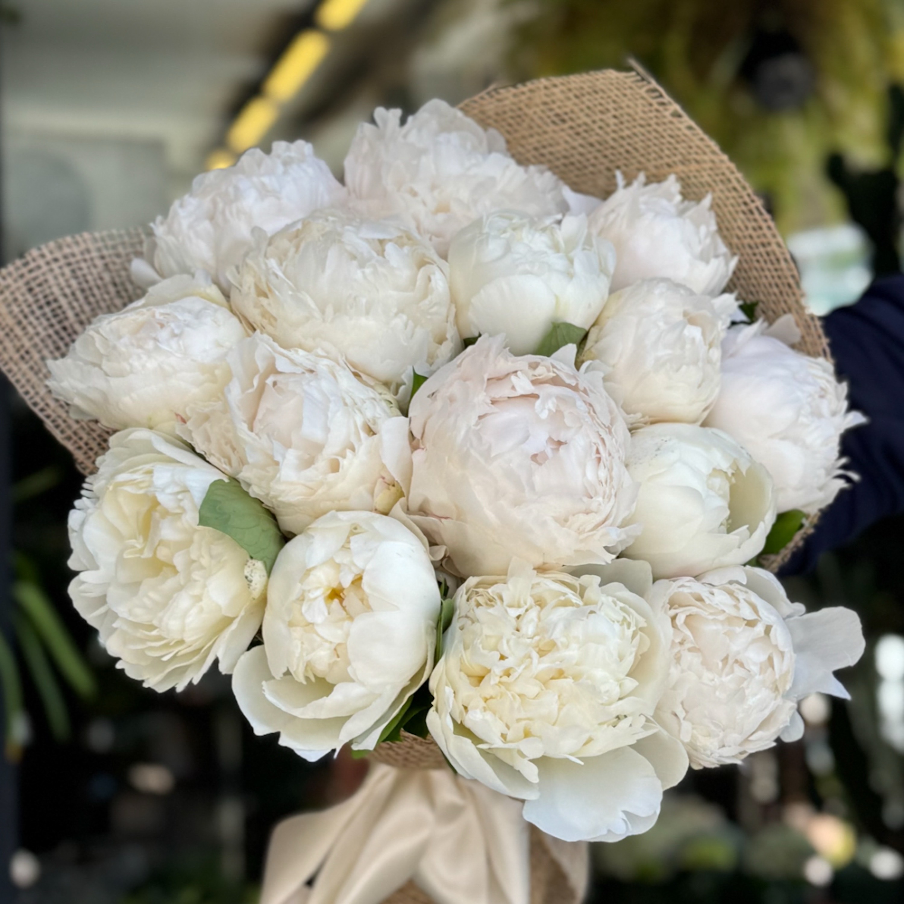Şakayık - Peony