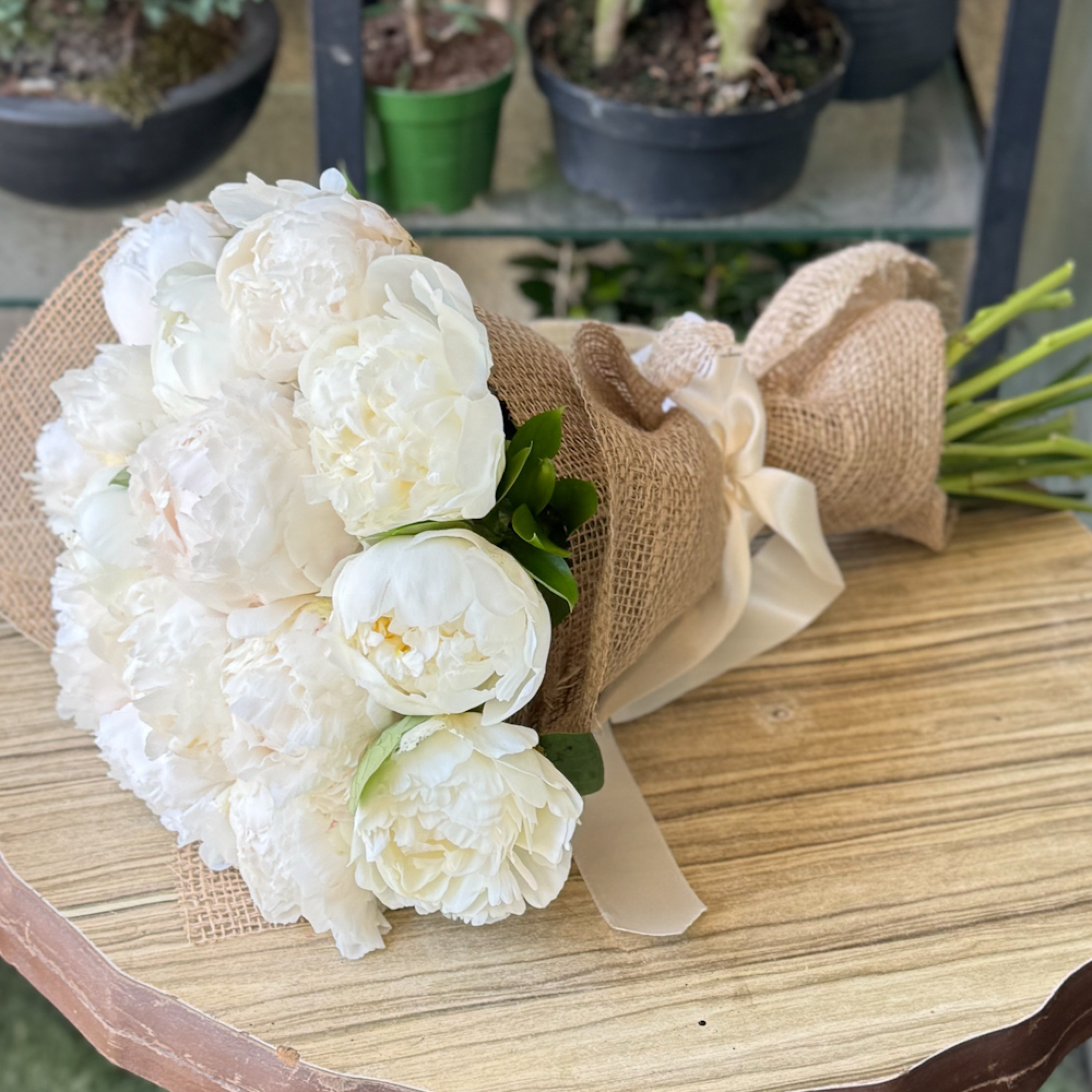Şakayık - Peony