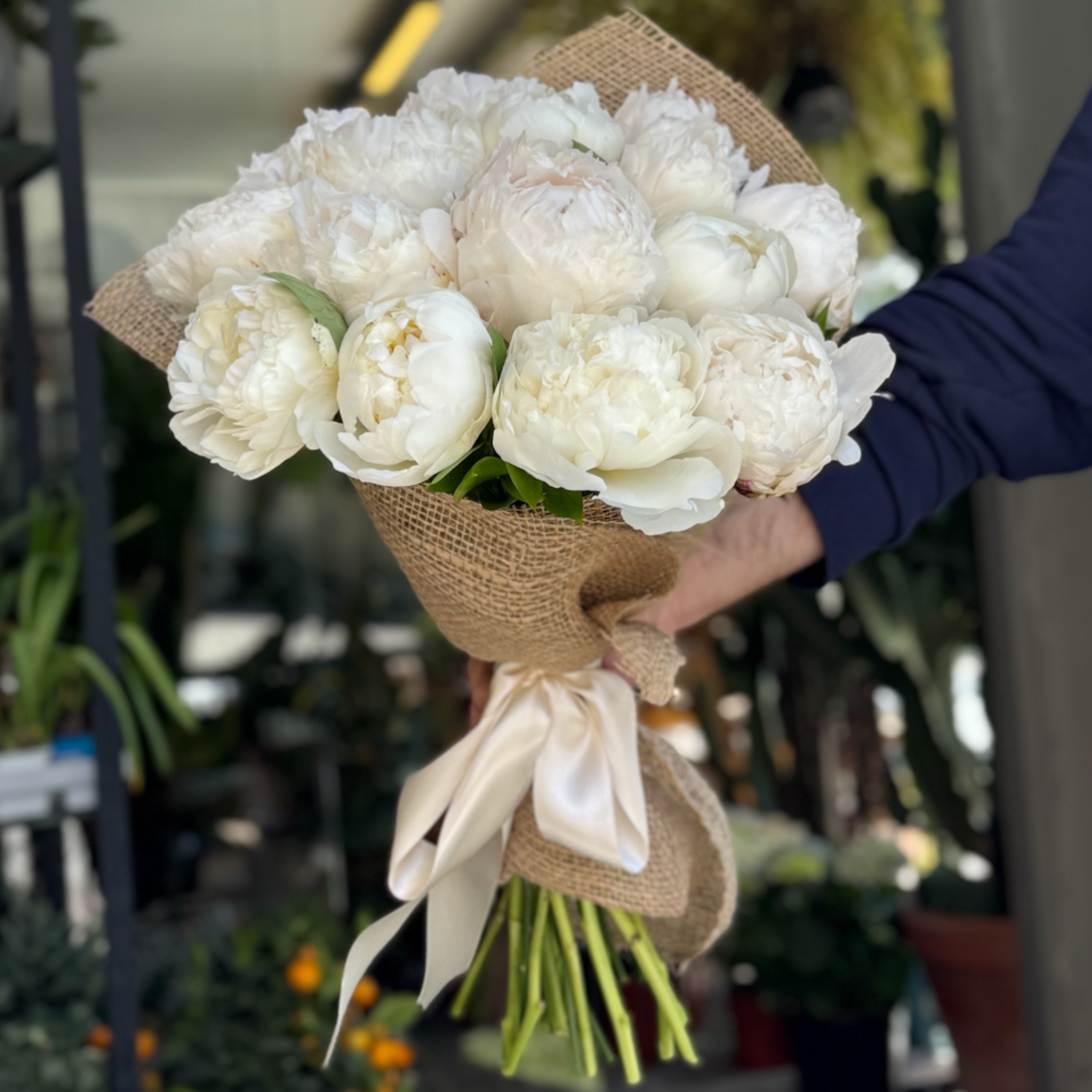Şakayık - Peony