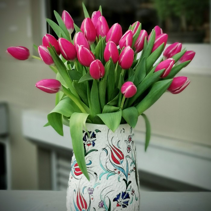 Kütahya Serisi - Columbus Tulips