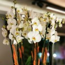 Metalde 10 Dal Beyaz Orkide