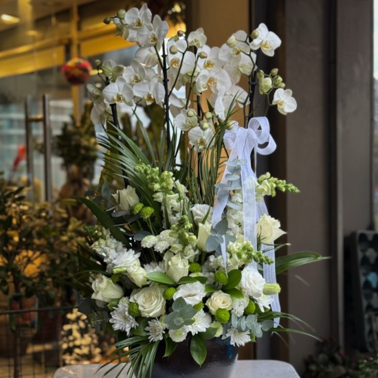 Beyaz Orkideler