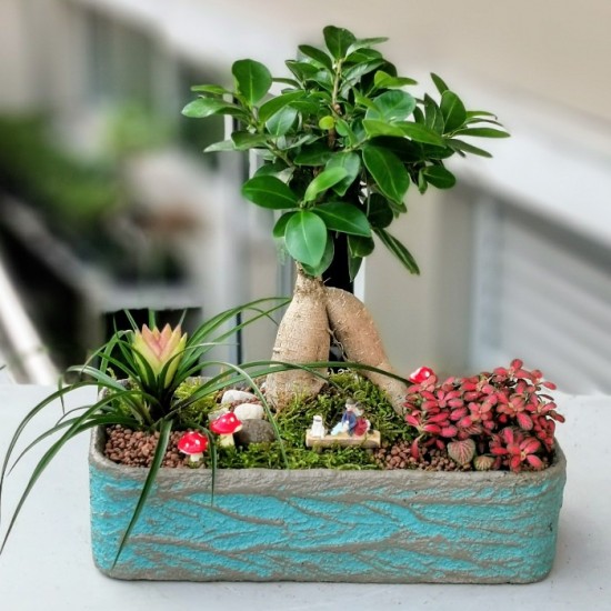 Bonsai Bahçesi