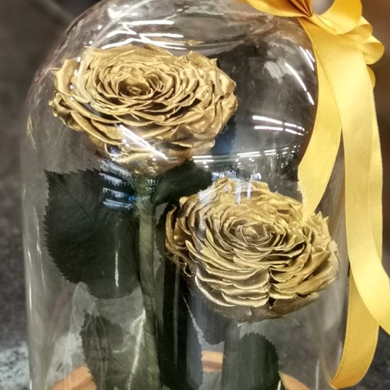 Gold Rose