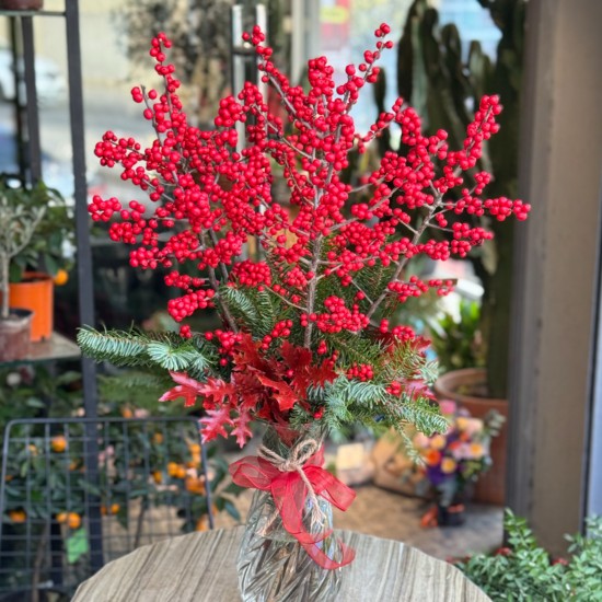 Yeni Yıl Şansı İlexler