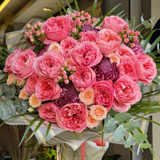 Candy Pink X Pression Ekvator Gülleri