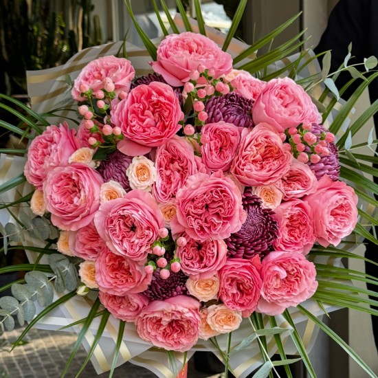 Candy Pink X Pression Ekvator Gülleri