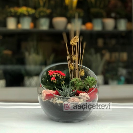 Beşiktaş Terraryum