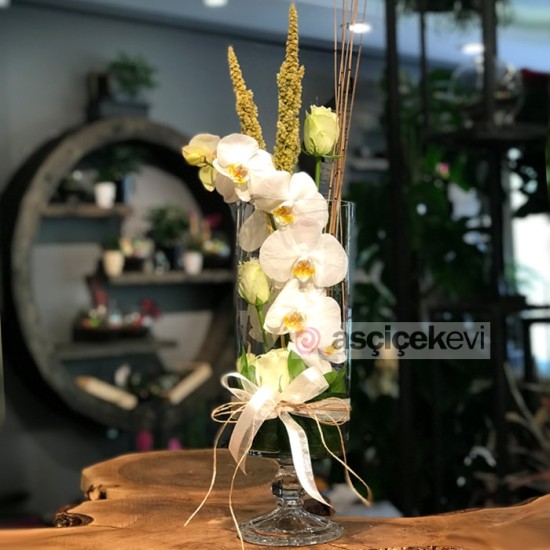 Cam İçinde Beyaz Orkide