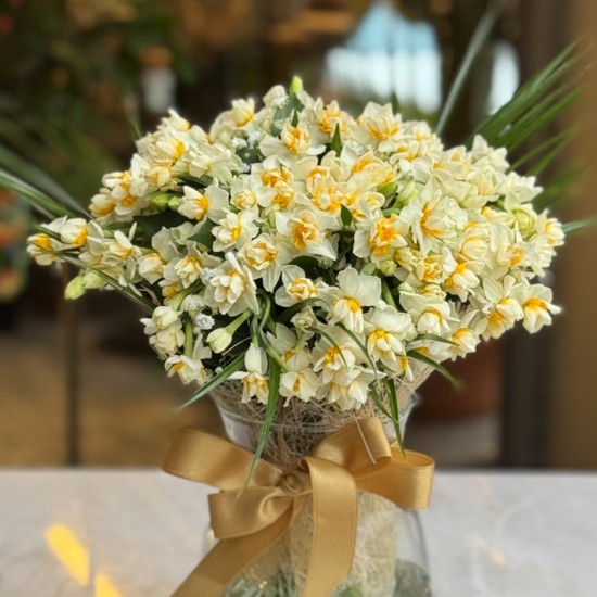 Mis Kokulu Nergisler