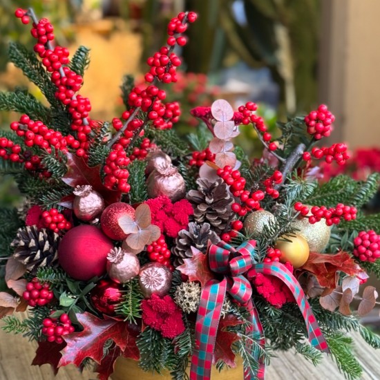 Gold Yılbaşı ilex