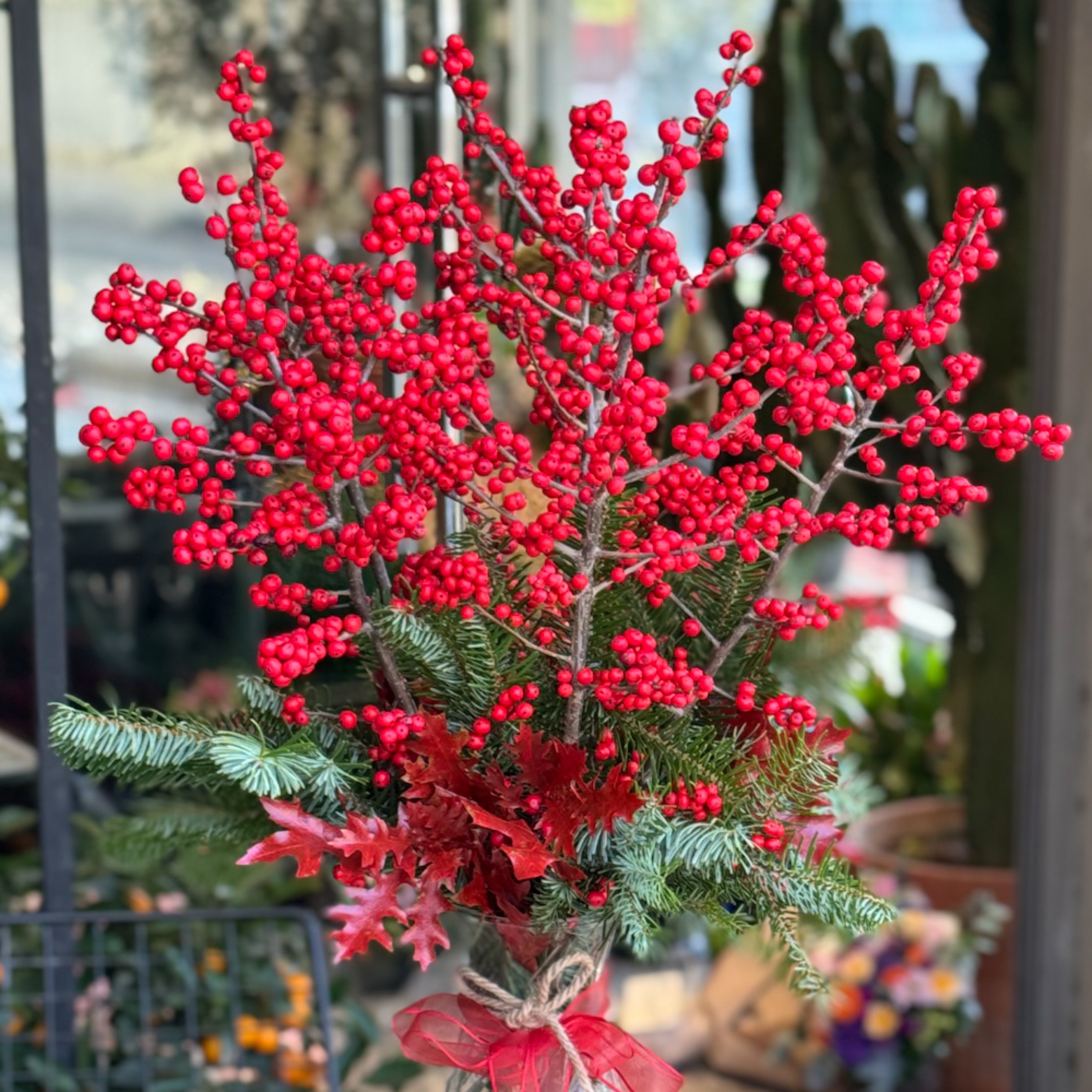 Yeni Yıl Şansı İlexler