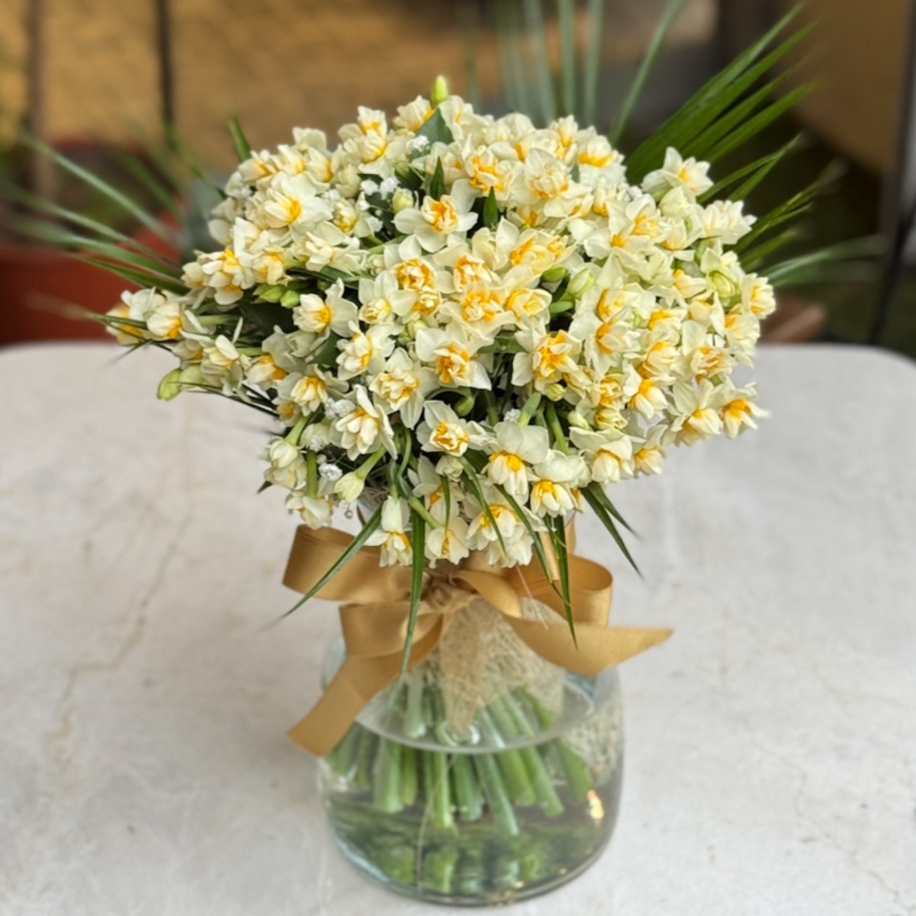 Mis Kokulu Nergisler