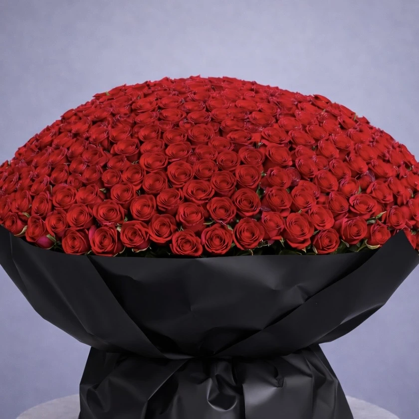 Sonsuz Aşk 350 Gül