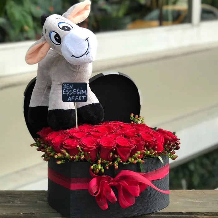 Özür Dilerim Ben Eşşeğim