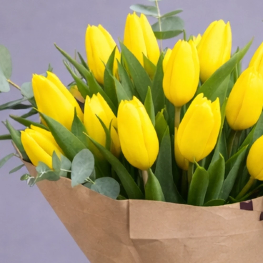 Sana Sarı Laleler Aldım