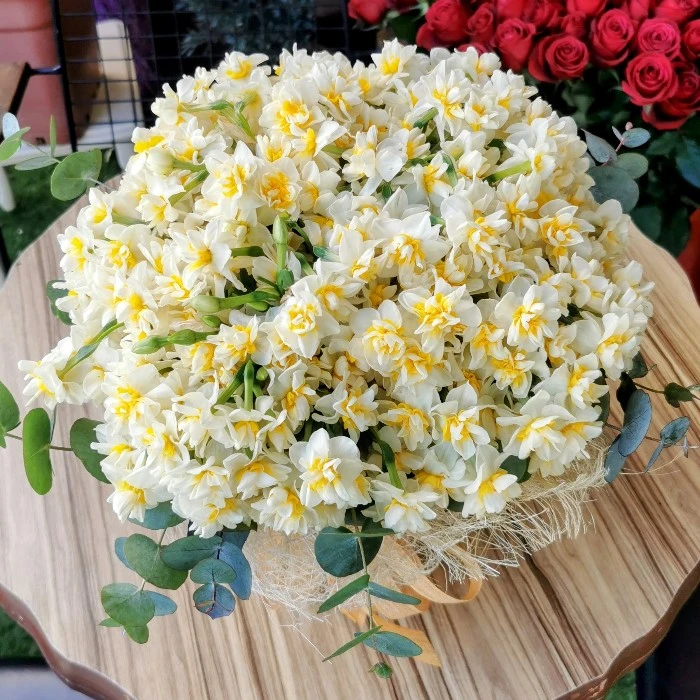 Vazoda Kokulu Nergis Çiçeği