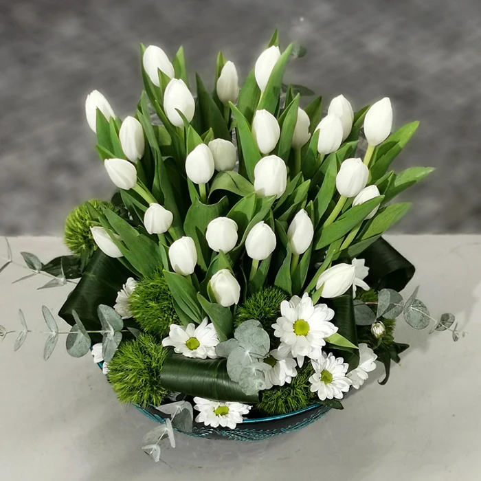 Kütahya Serisi Beyaz Laleler