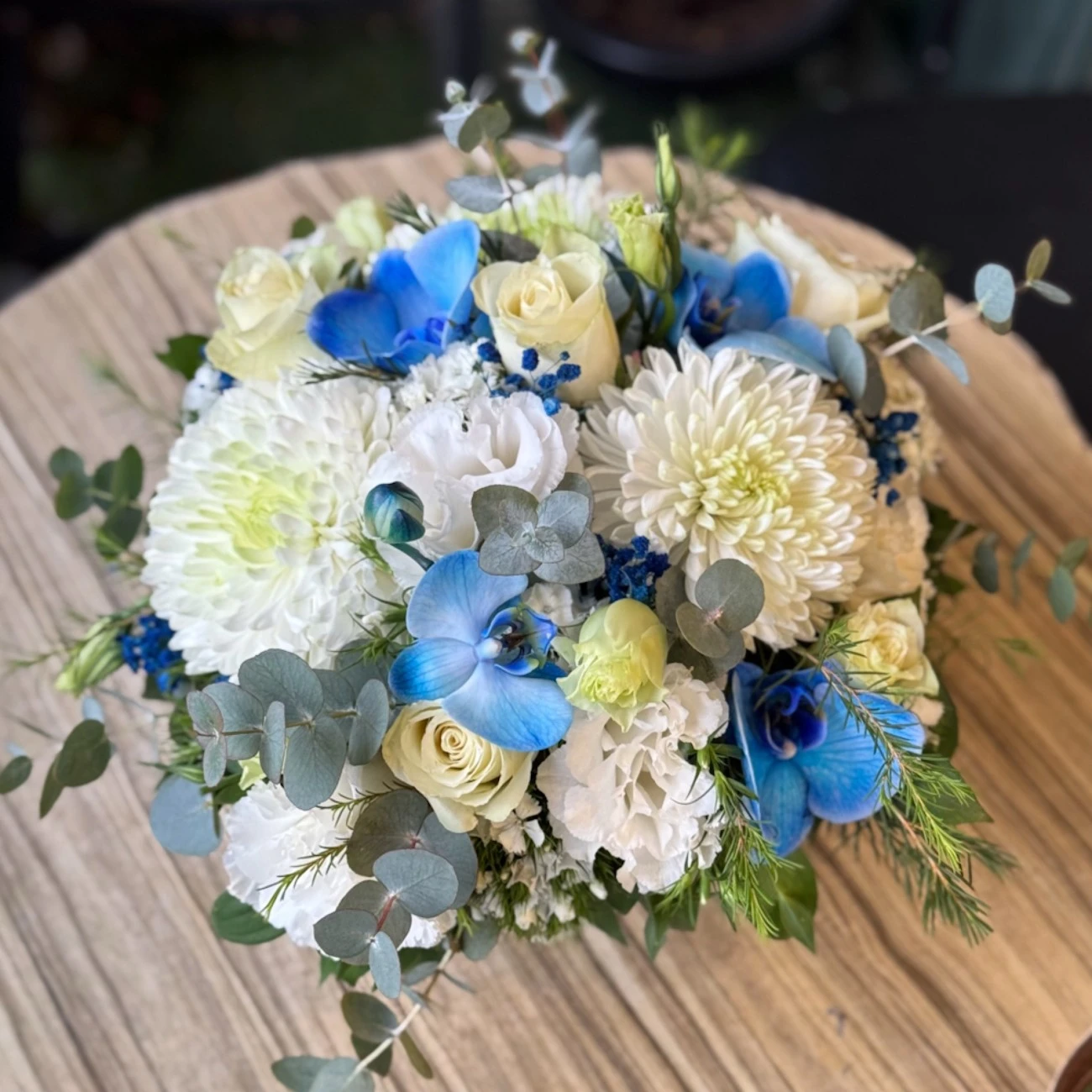 Mavi Beyaz Masa Çiçeği