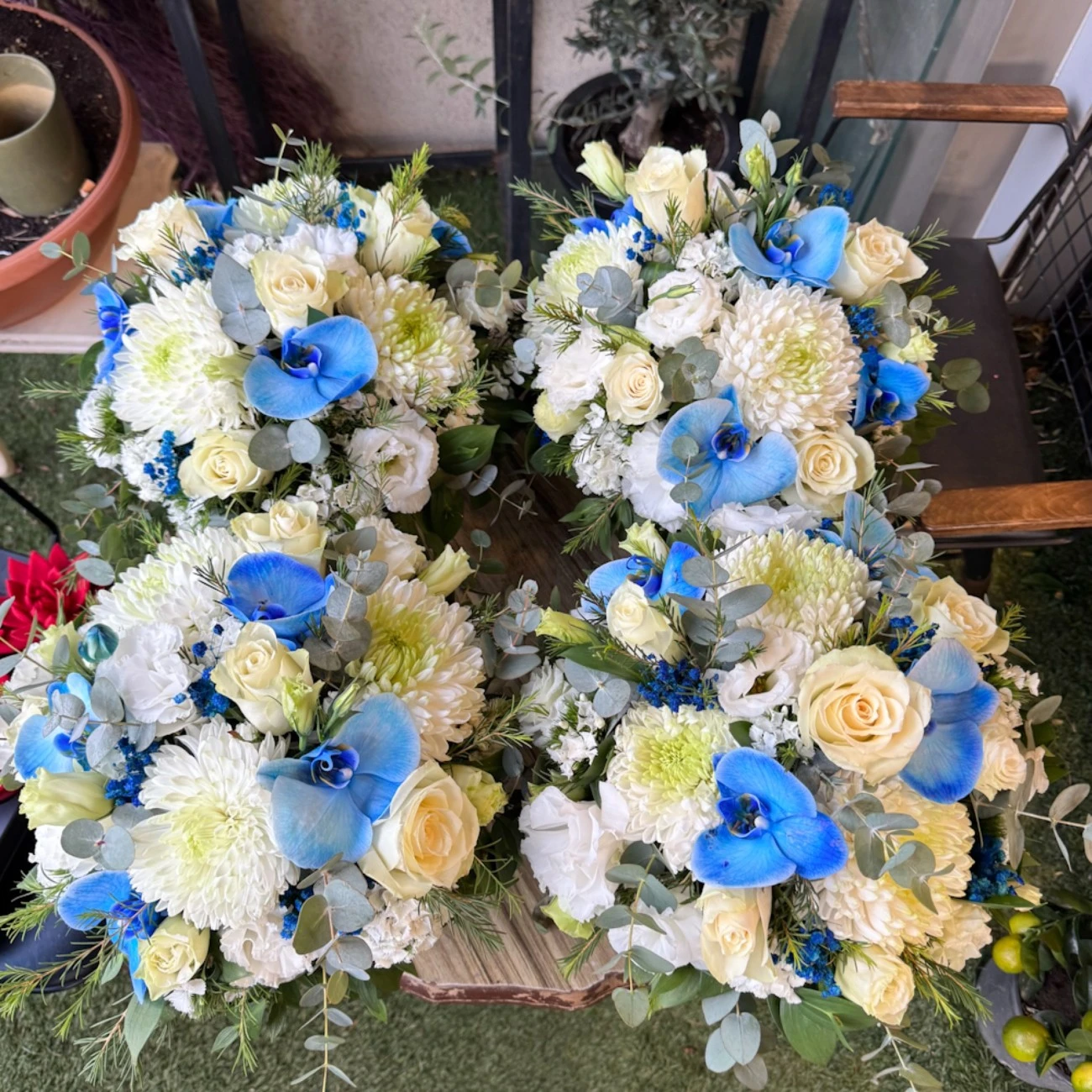 Mavi Beyaz Masa Çiçeği