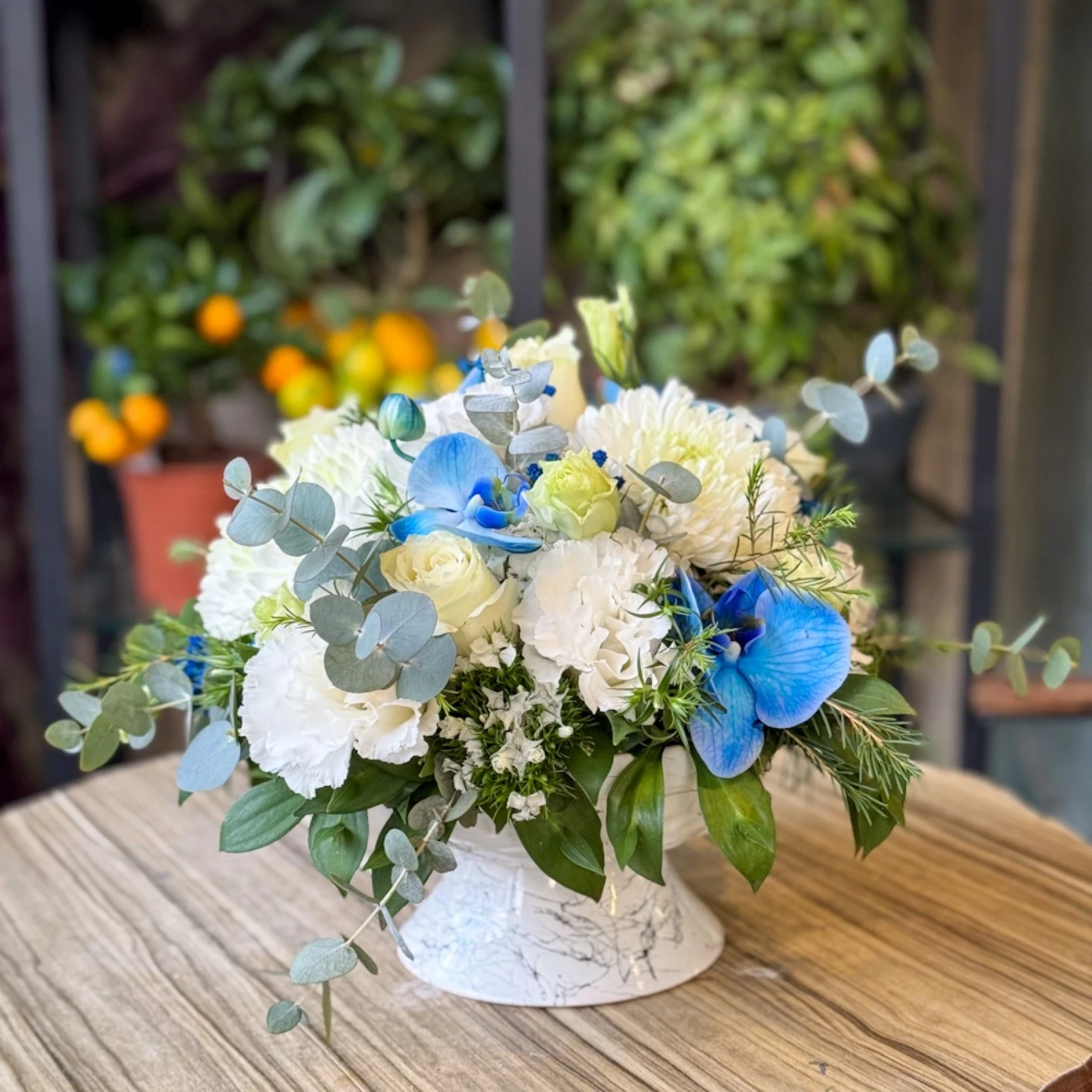 Mavi Beyaz Masa Çiçeği