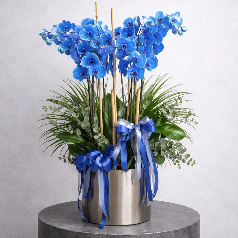 6 Dallı Mavi Orkide