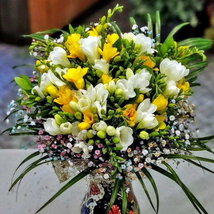 Kütahya Serisi Frezyalar