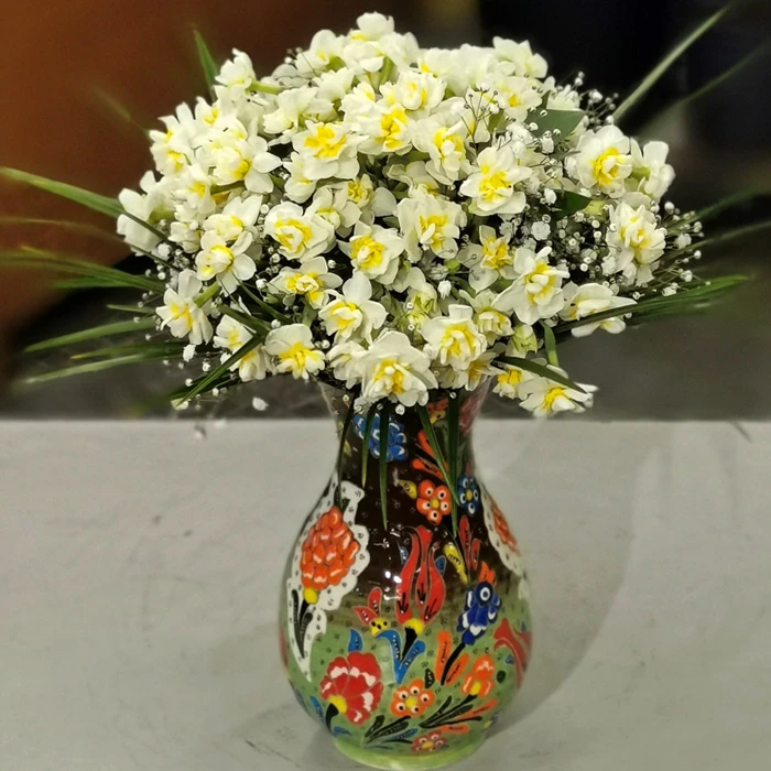 Kütahya Serisi Nergis - Fulya