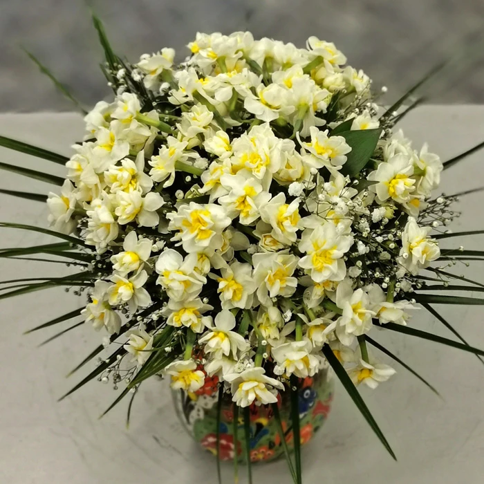 Kütahya Serisi Nergis - Fulya