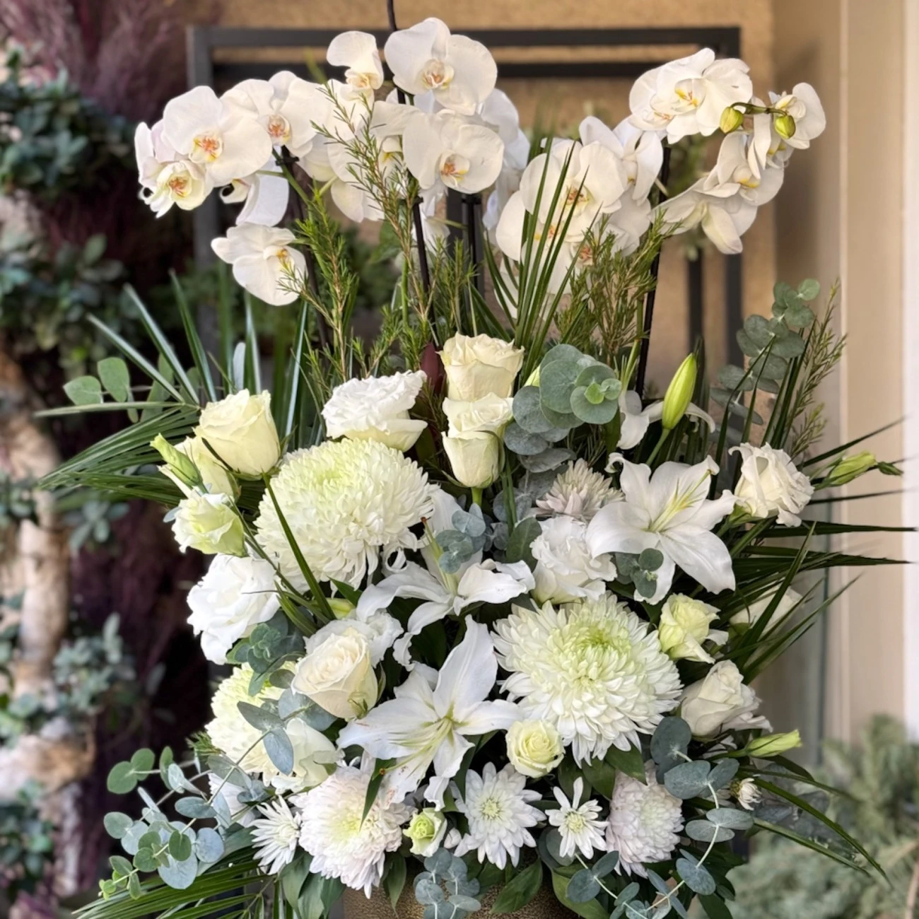 Orkideler ve lilyumlar