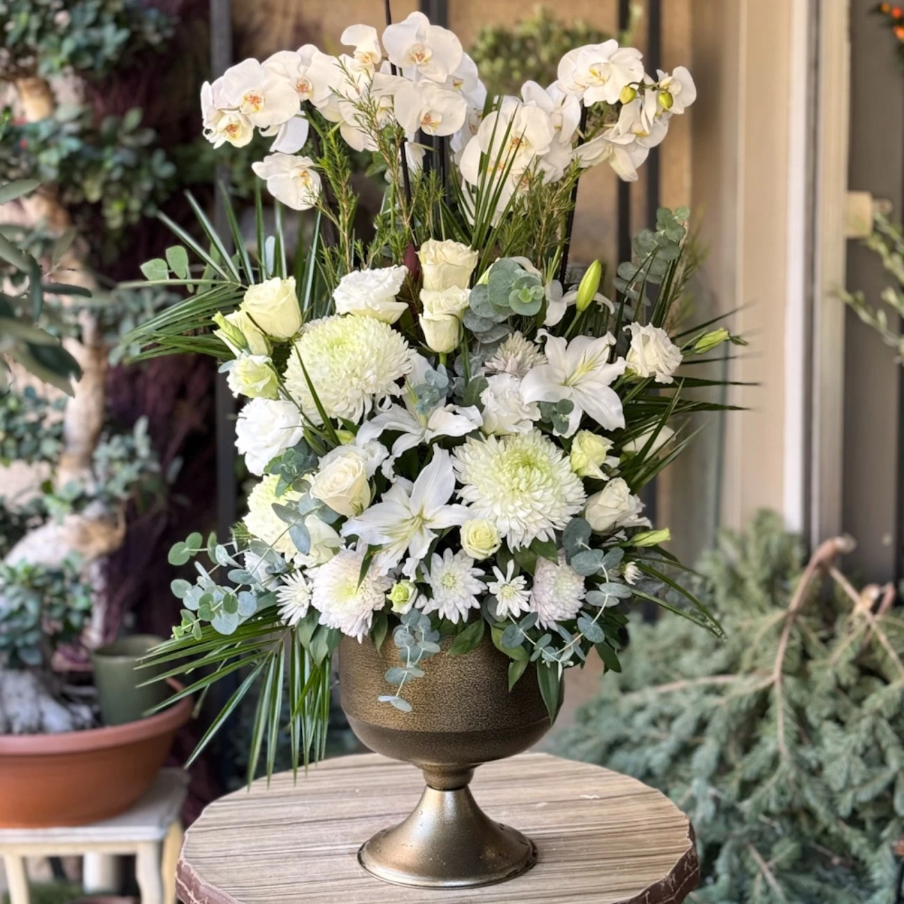 Orkideler ve lilyumlar