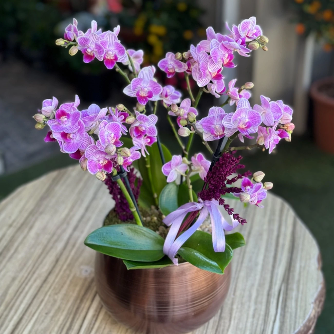 Pembe Bougetto Orkide