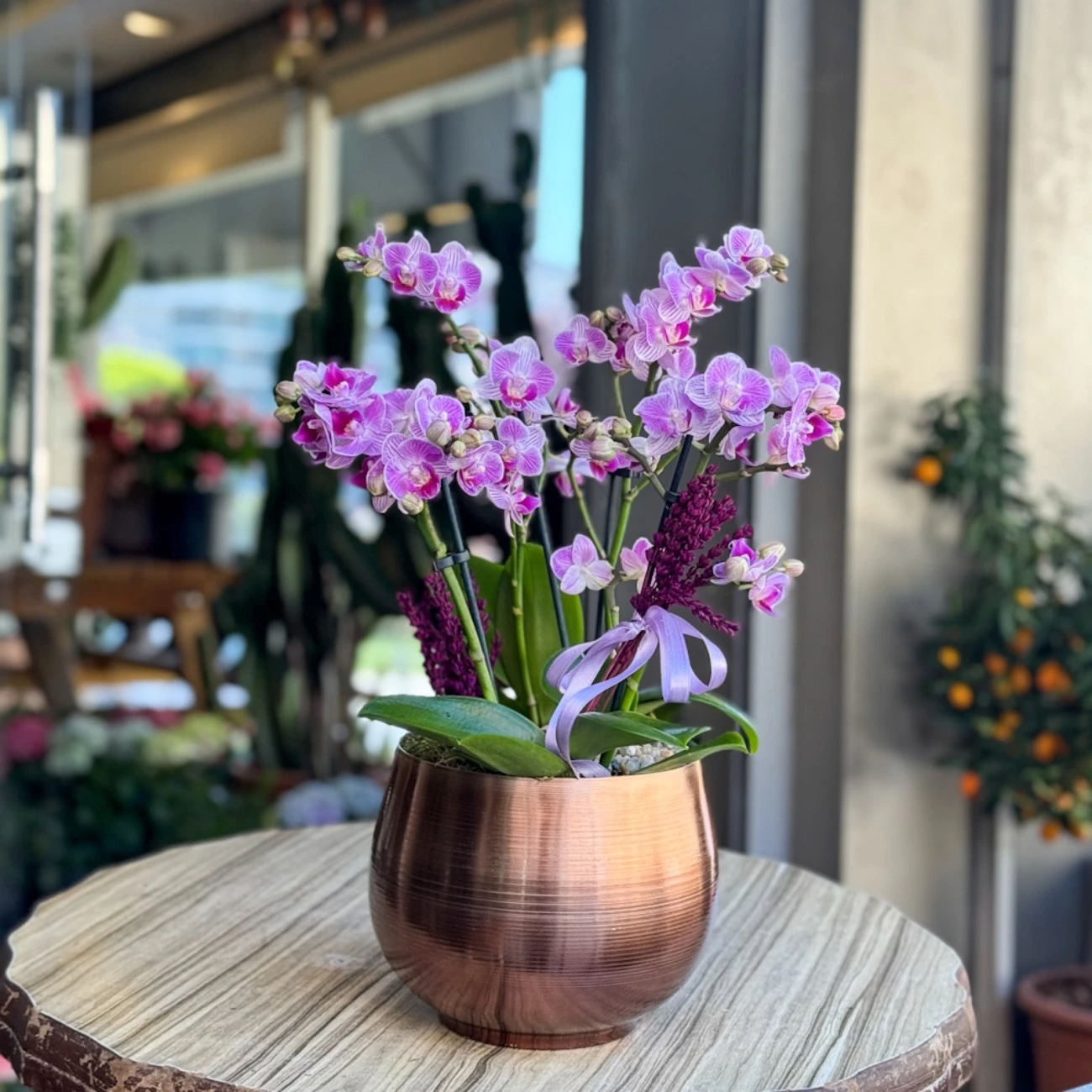 Pembe Bougetto Orkide