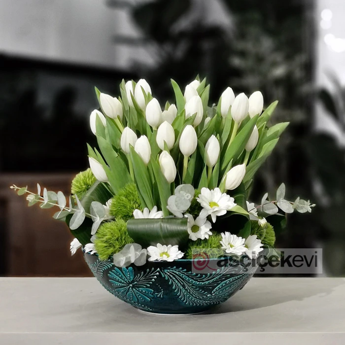 Kütahya Serisi Beyaz Laleler