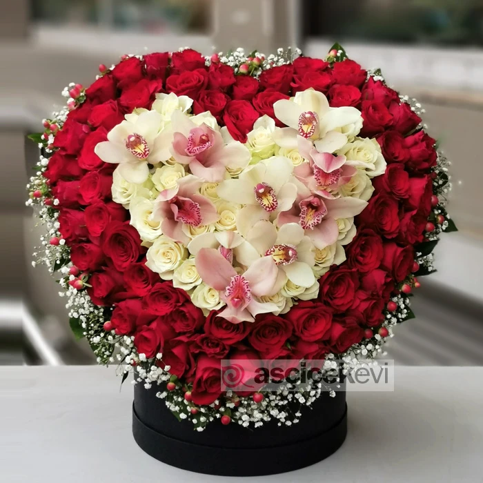 Aşk Masumiyet ve Asalet