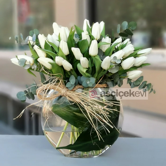 Vazoda Beyaz Laleler