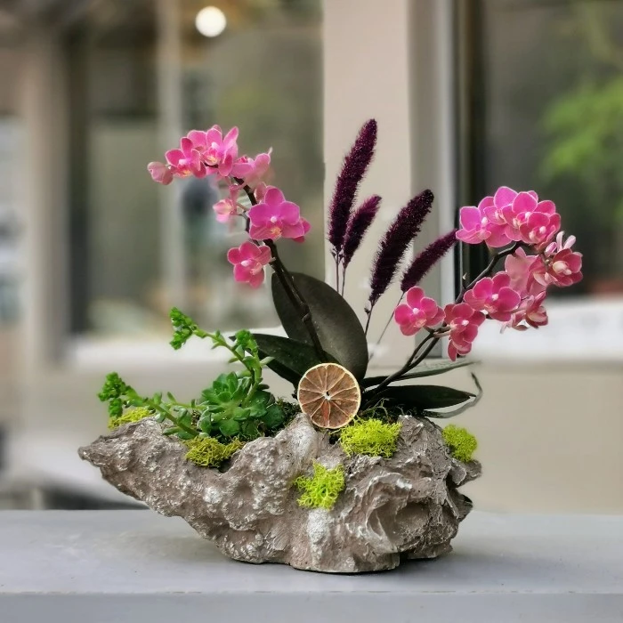 Sunset Orange Kokulu Orkide