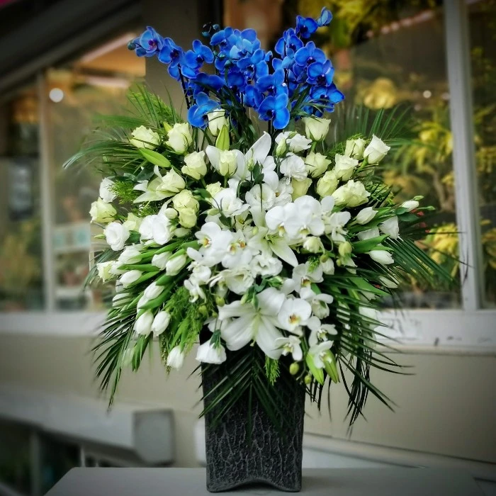 Boğaziçi Mavi Orkide