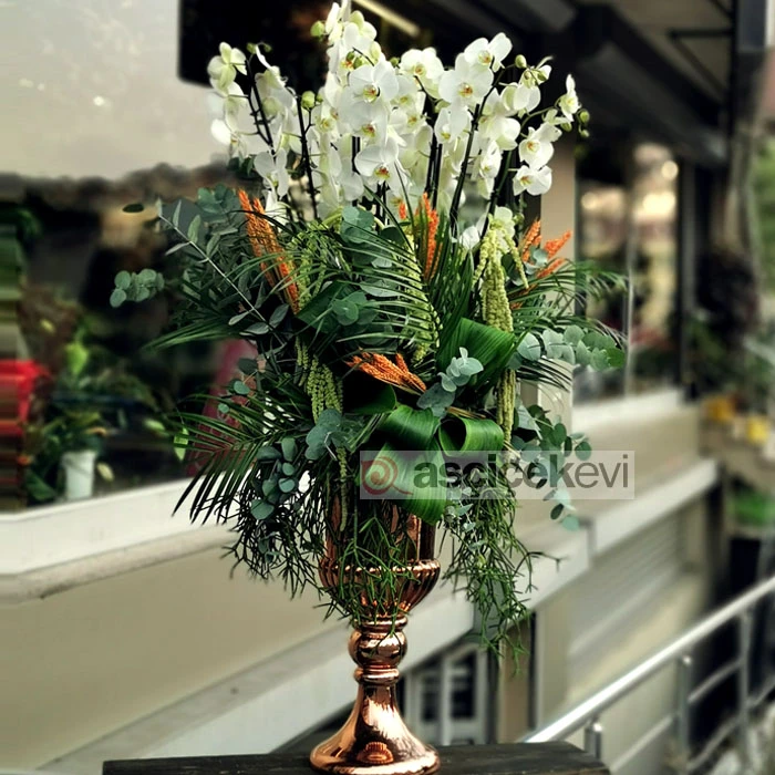 Elysium - Beyaz Orkideler