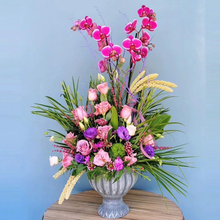 Fuşya Orkide ve Gülller