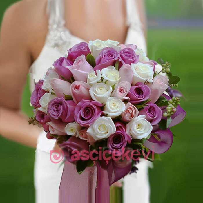 Eflatun Pembe Beyaz Gelin Çiçeği