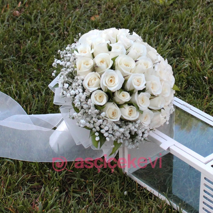 Beyaz Gül Gelin Çiçeği