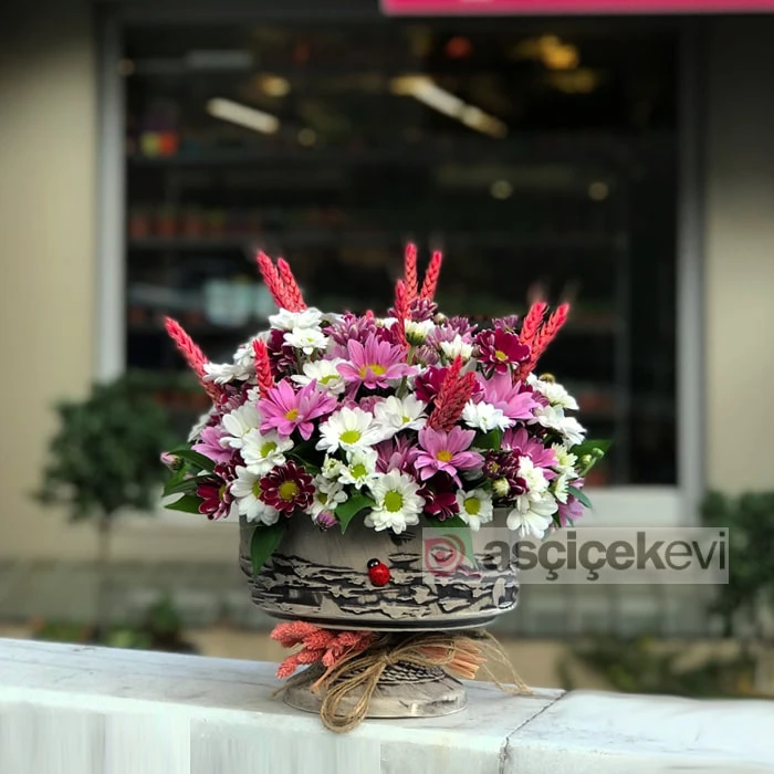 Rengarenk Papatyalar