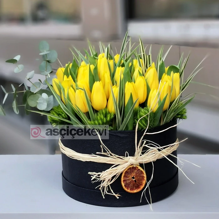 Kutuda Sarı Laleler