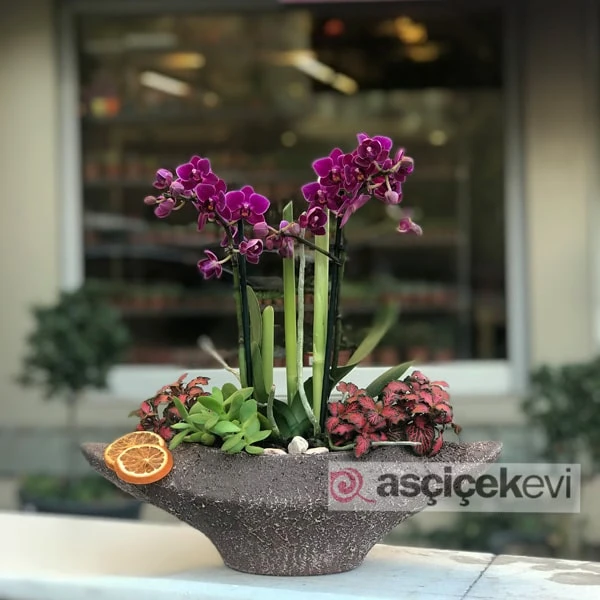 Çırağan Çiçek Tasarım