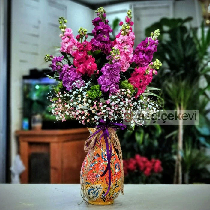 Mis Kokulu Şebboylar