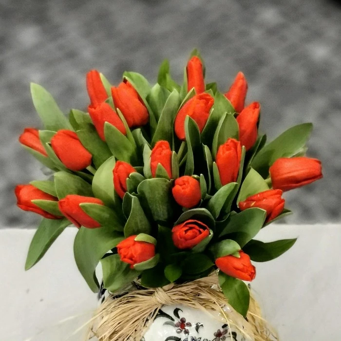 Kırmızı Laleler - Tutkulu Aşk