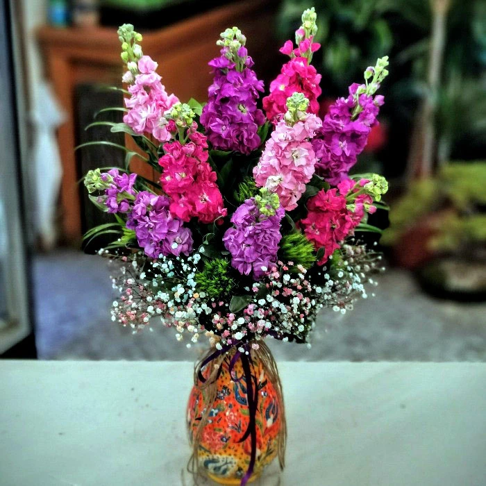 Mis Kokulu Şebboylar